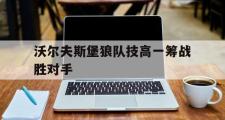 爱游戏手机版登录入口-沃尔夫斯堡狼队技高一筹战胜对手