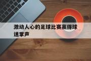 爱游戏网页版-激动人心的足球比赛赢得球迷掌声