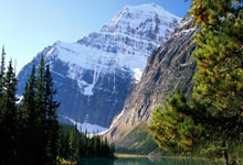 爱游戏手机版登录入口-Ning连续七场比赛得分超过爆冷，TL不断突破！